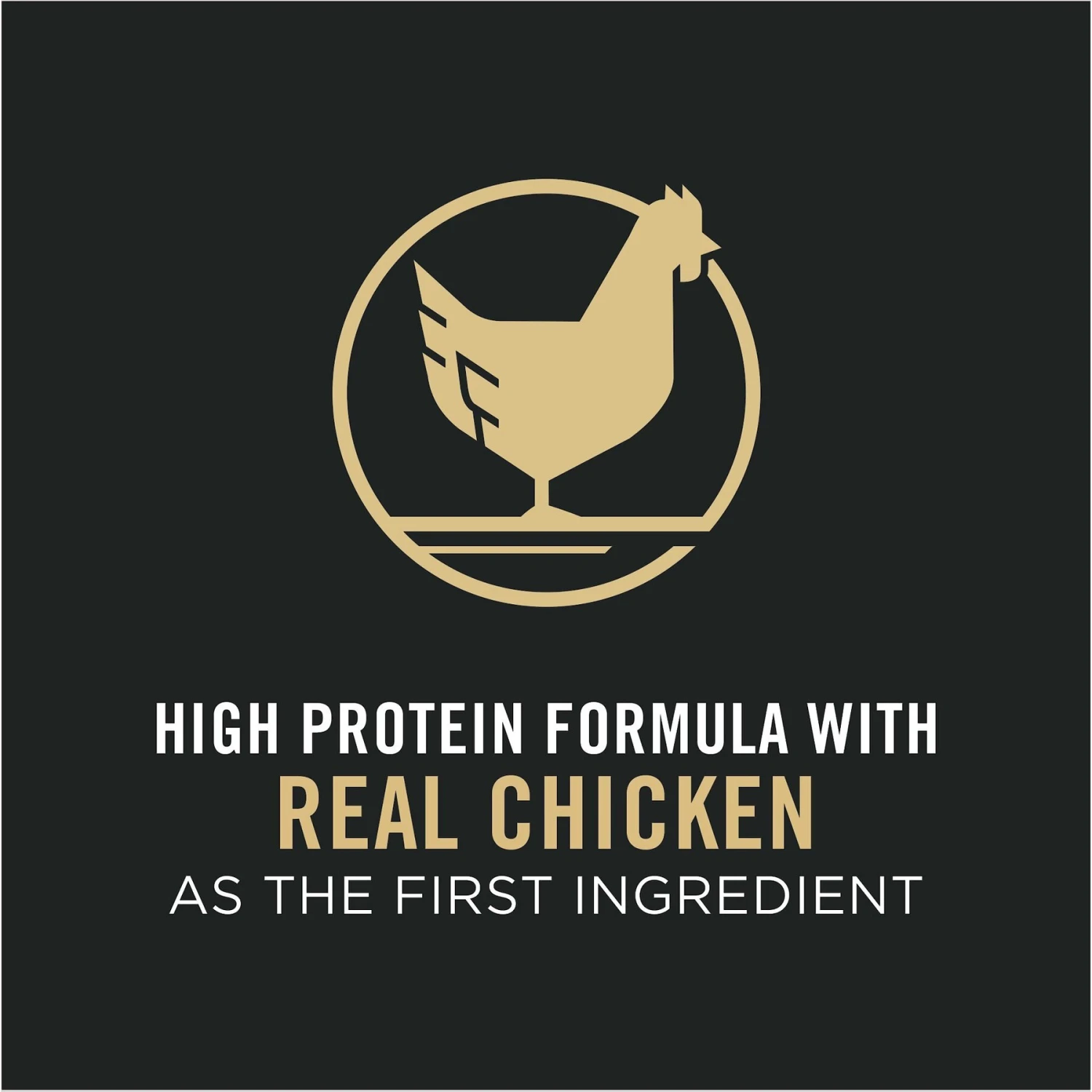 Purina Pro Plan Chicken & Rice Formula With Probiotics High Protein Cat Food 4 Purina Pro Plan Chicken & Rice Formula With Probiotics High Protein Cat Food - Image 4