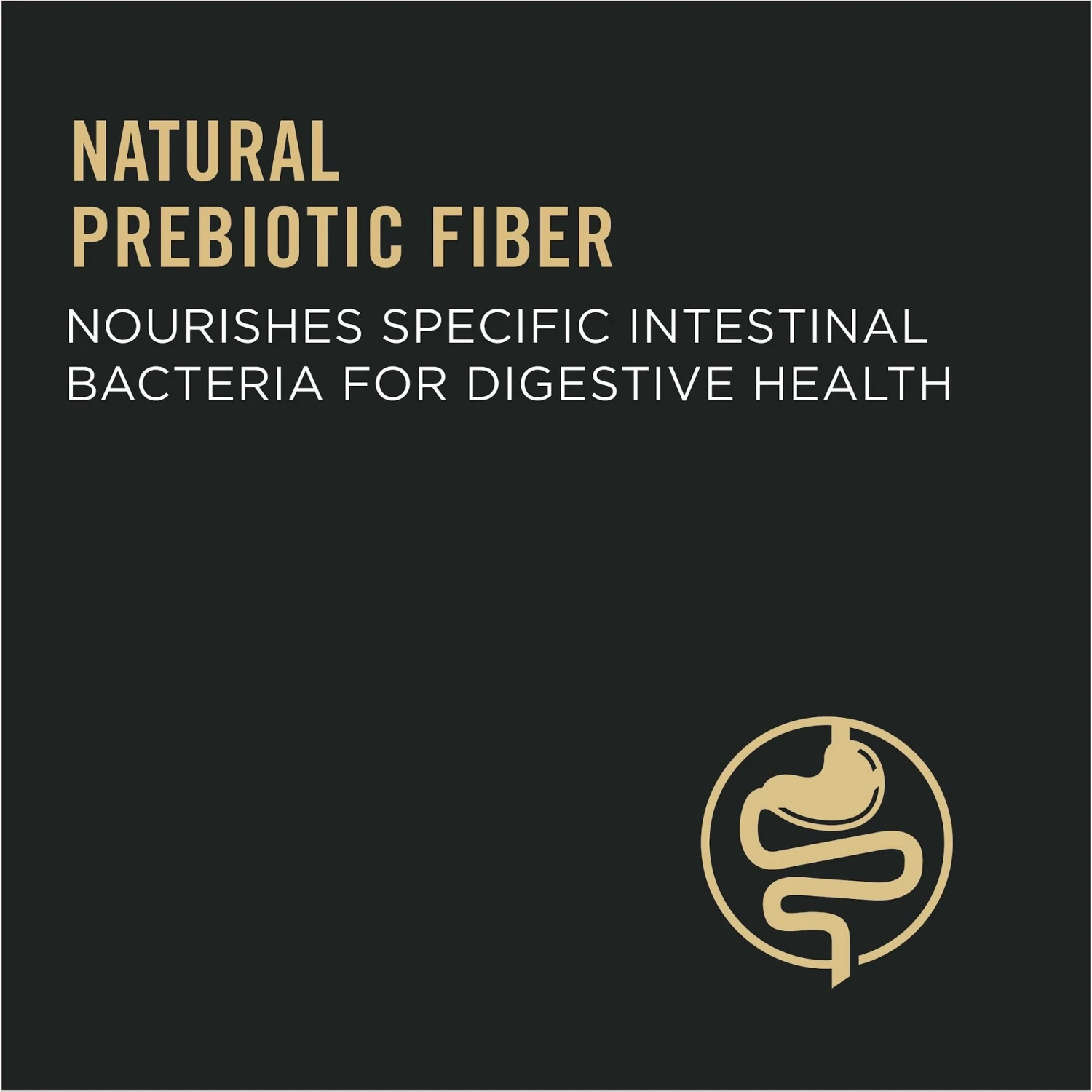 Purina Pro Plan Chicken & Rice Formula With Probiotics High Protein Cat Food 5 Purina Pro Plan Chicken & Rice Formula With Probiotics High Protein Cat Food - Image 5