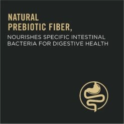 Purina Pro Plan Adult Salmon & Rice Formula Dry Cat Food -Wellness Sales 67936 PT4. AC SS1800 V1649224282