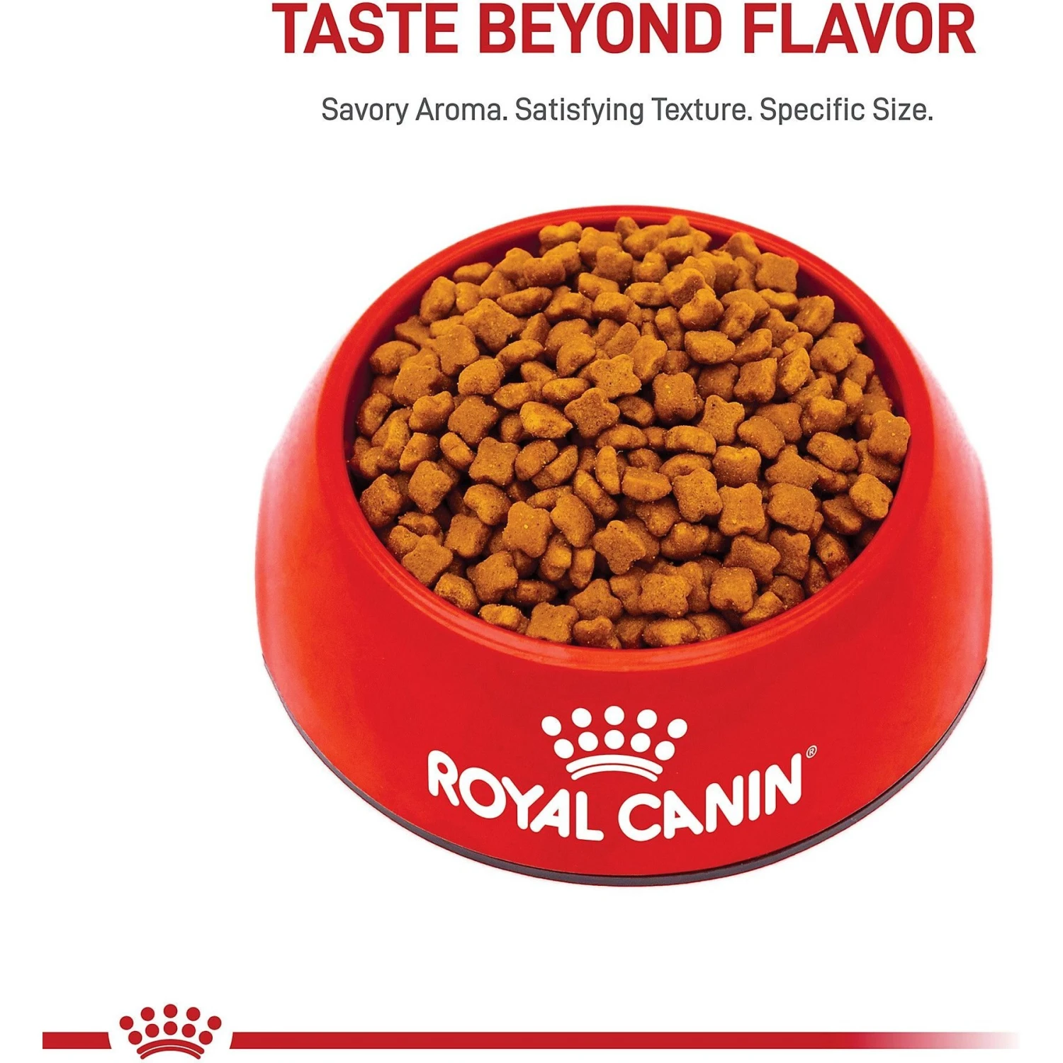 Royal Canin Feline Health Nutrition Kitten Dry Cat Food 2 Royal Canin Feline Health Nutrition Kitten Dry Cat Food - Image 2
