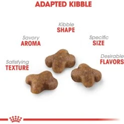 Royal Canin Feline Health Nutrition Kitten Dry Cat Food 12 Royal Canin Feline Health Nutrition Kitten Dry Cat Food -Wellness Sales 68401 PT3. AC SS1800 V1697760732