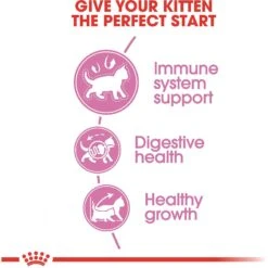 Royal Canin Feline Health Nutrition Kitten Dry Cat Food 13 Royal Canin Feline Health Nutrition Kitten Dry Cat Food -Wellness Sales 68401 PT4. AC SS1800 V1697759655