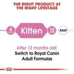 Royal Canin Feline Health Nutrition Kitten Dry Cat Food 15 Royal Canin Feline Health Nutrition Kitten Dry Cat Food -Wellness Sales 68401 PT6. AC SS1800 V1697760673