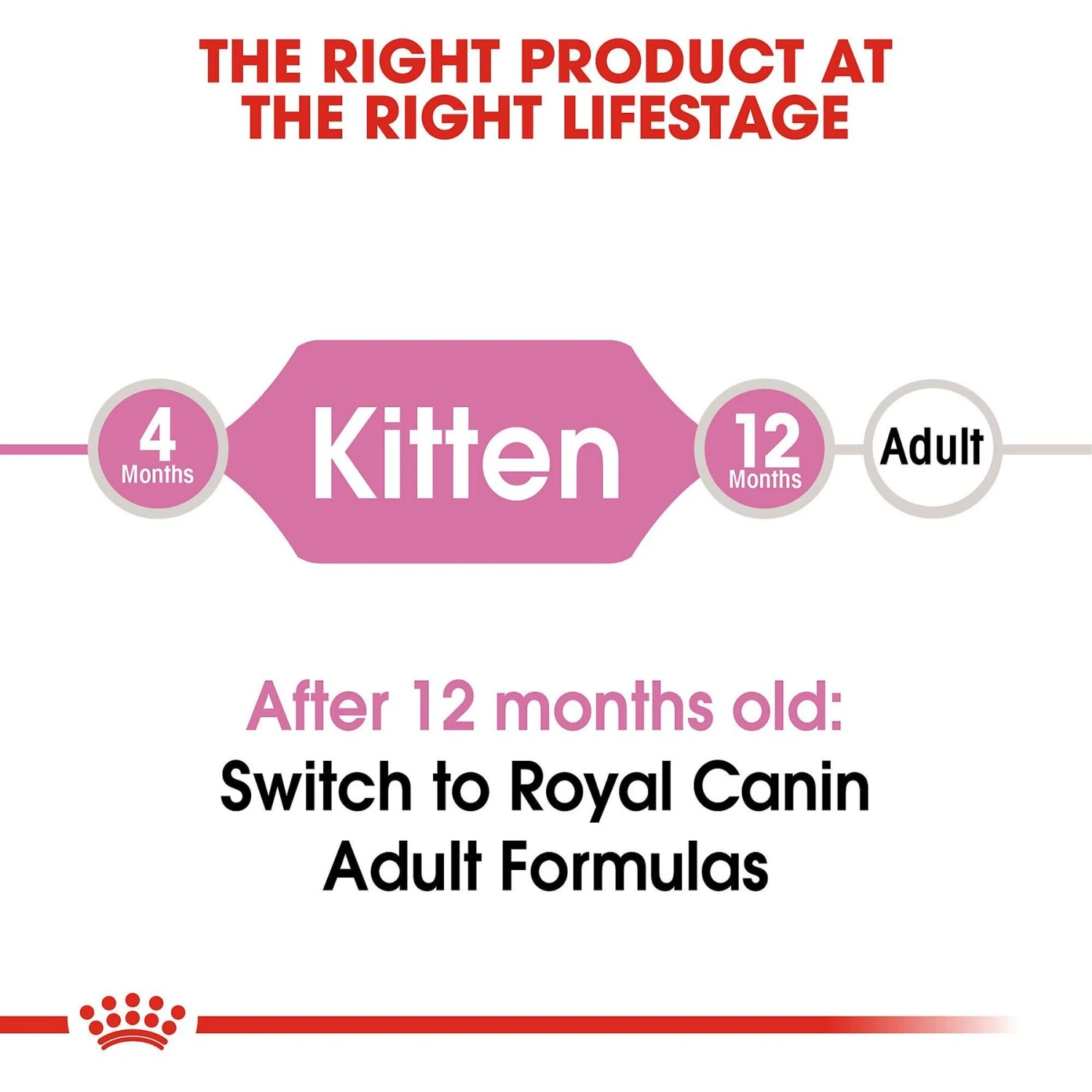 Royal Canin Feline Health Nutrition Kitten Dry Cat Food 7 Royal Canin Feline Health Nutrition Kitten Dry Cat Food - Image 7