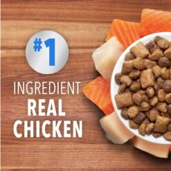 Iams Proactive Health Healthy Enjoyment Immune Support Chicken & Salmon Adult Dry Cat Food -Wellness Sales 690790 PT2. AC SS1800 V1667342835