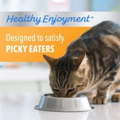 Iams Proactive Health Healthy Enjoyment Immune Support Chicken & Salmon Adult Dry Cat Food -Wellness Sales 690790 PT3. AC SS1800 V1667342774