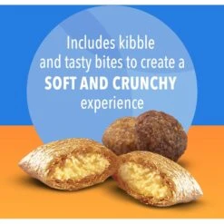 Iams Proactive Health Healthy Enjoyment Immune Support Chicken & Salmon Adult Dry Cat Food -Wellness Sales 690790 PT4. AC SS1800 V1667356112