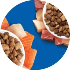 Iams Proactive Health Healthy Enjoyment Immune Support Chicken & Salmon Adult Dry Cat Food -Wellness Sales 690790 PT8. AC SS1800 V1667354829