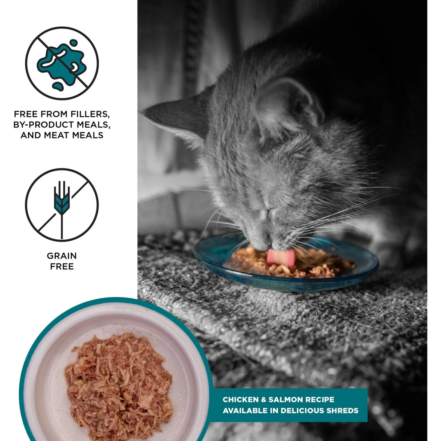 BIXBI Liberty Chicken & Salmon Recipe In Broth Grain-Free Wet Cat Food, 2.75-oz Can, Case Of 24 2 BIXBI Liberty Chicken & Salmon Recipe In Broth Grain-Free Wet Cat Food, 2.75-oz Can, Case Of 24 - Image 2