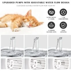 PetNF Transparent Cat Water Drinking Fountain -Wellness Sales 693830 PT6. AC SS1800 V1667865295