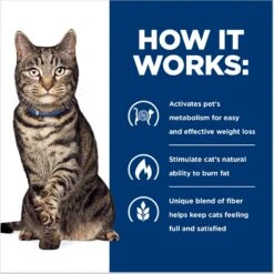 Hill's Prescription Diet Metabolic Chicken Flavor Dry Cat Food 14 Hill's Prescription Diet Metabolic Chicken Flavor Dry Cat Food -Wellness Sales 69812 PT5. AC SS1800 V1668547936