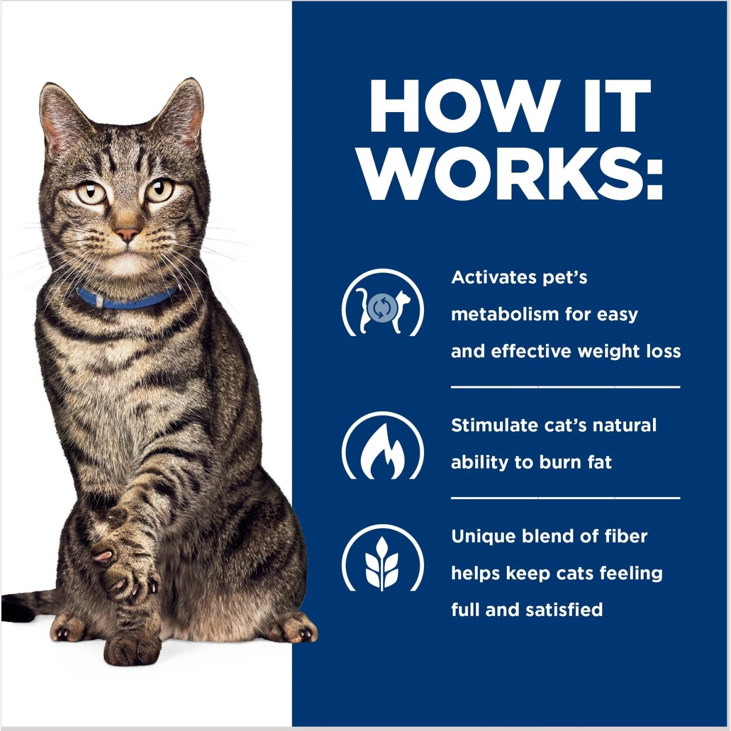 Hill's Prescription Diet Metabolic Chicken Flavor Dry Cat Food 6 Hill's Prescription Diet Metabolic Chicken Flavor Dry Cat Food - Image 6