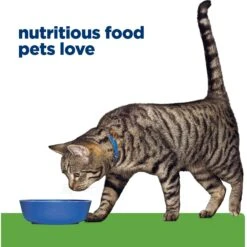 Hill's Prescription Diet Metabolic Chicken Flavor Dry Cat Food 15 Hill's Prescription Diet Metabolic Chicken Flavor Dry Cat Food -Wellness Sales 69812 PT6. AC SS1800 V1668550702