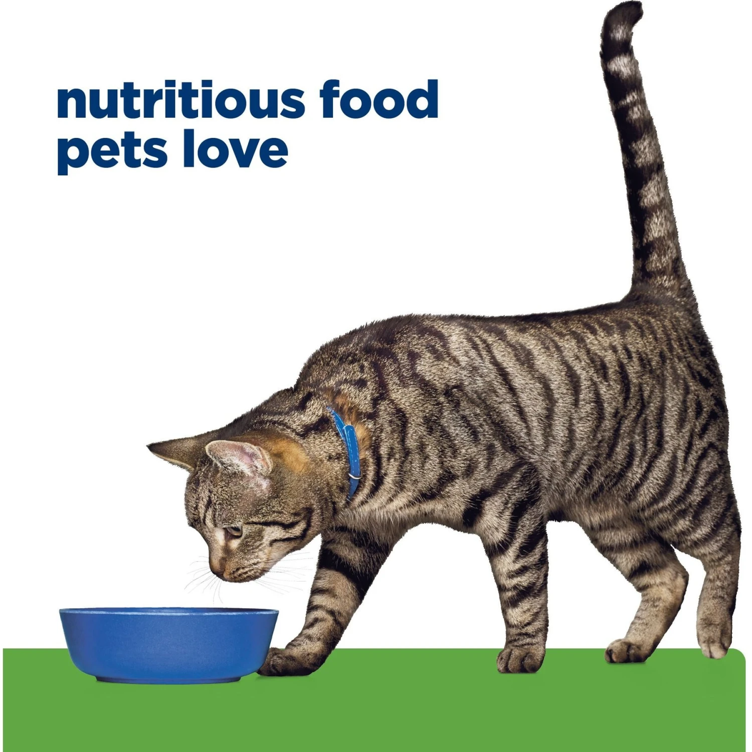 Hill's Prescription Diet Metabolic Chicken Flavor Dry Cat Food 7 Hill's Prescription Diet Metabolic Chicken Flavor Dry Cat Food - Image 7