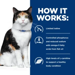 Hill's Prescription Diet Y/d Thyroid Care Original Flavor Dry Cat Food -Wellness Sales 69818 PT4. AC SS1800 V1651587682