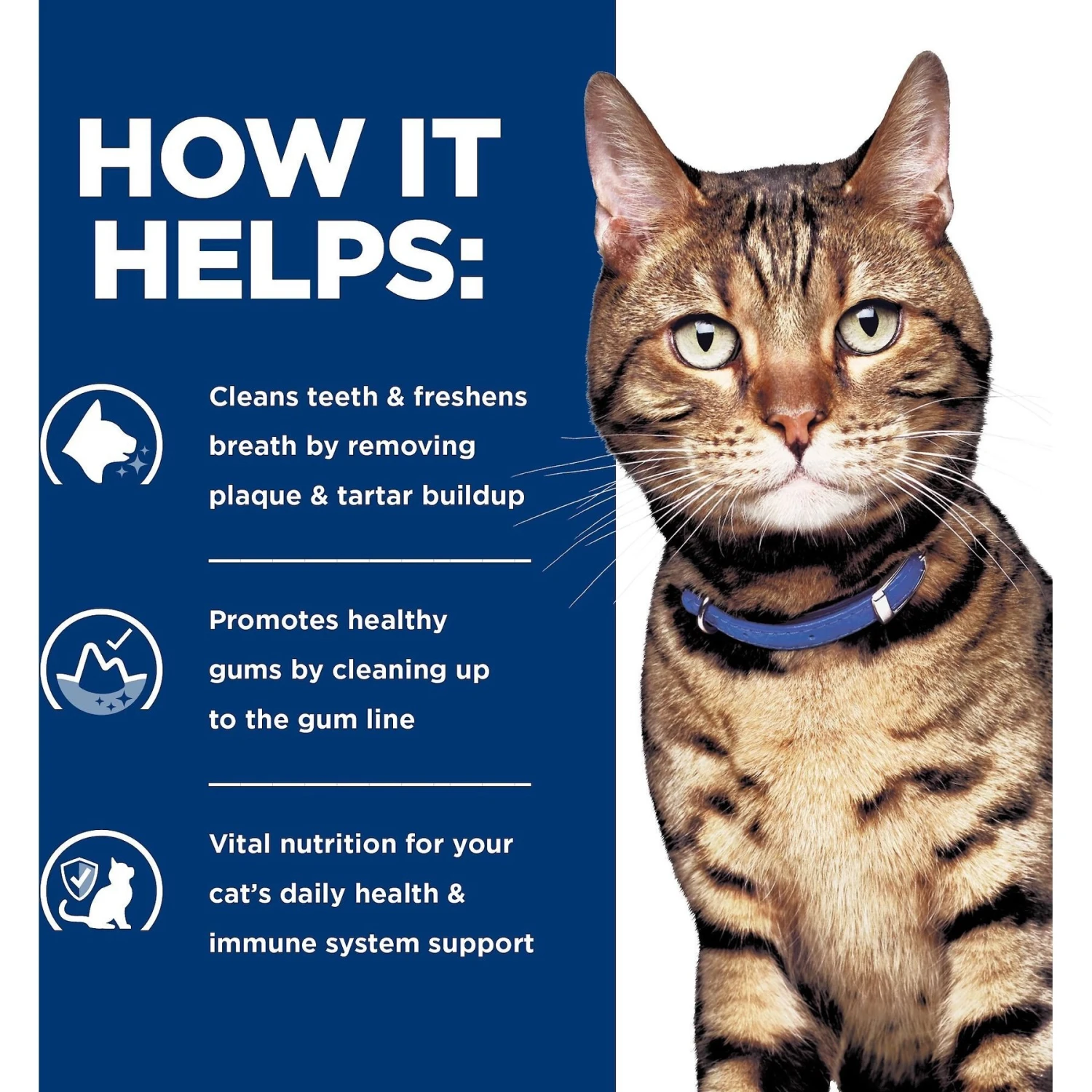 Hill's Prescription Diet T/d Dental Care Chicken Flavor Dry Cat Food 5 Hill's Prescription Diet T/d Dental Care Chicken Flavor Dry Cat Food - Image 5