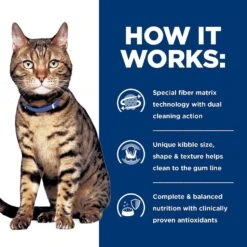 Hill's Prescription Diet T/d Dental Care Chicken Flavor Dry Cat Food 14 Hill's Prescription Diet T/d Dental Care Chicken Flavor Dry Cat Food -Wellness Sales 69828 PT5. AC SS1800 V1650994886