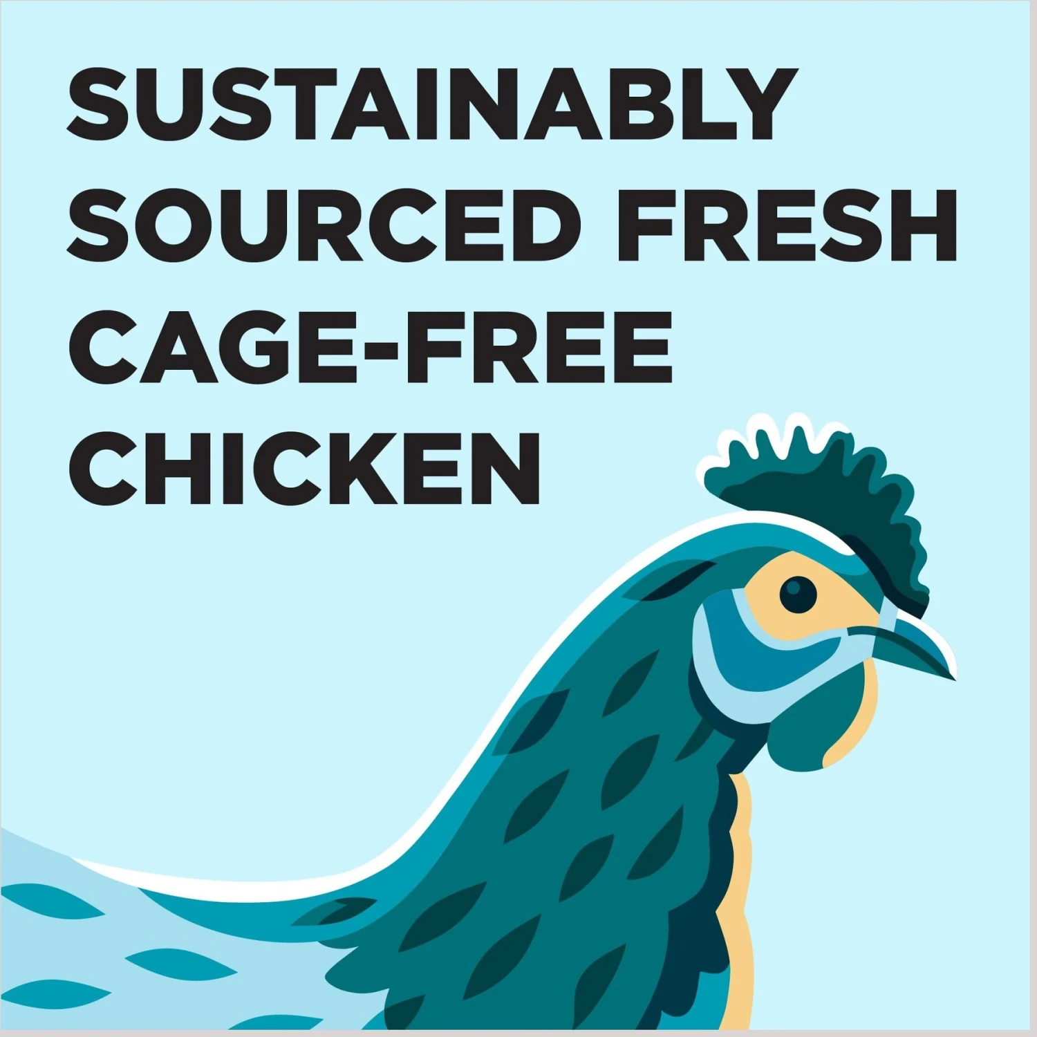 BIXBI Liberty Indoor Health Chicken & Salmon Recipe Grain-Free Dry Cat Food 4 BIXBI Liberty Indoor Health Chicken & Salmon Recipe Grain-Free Dry Cat Food - Image 4