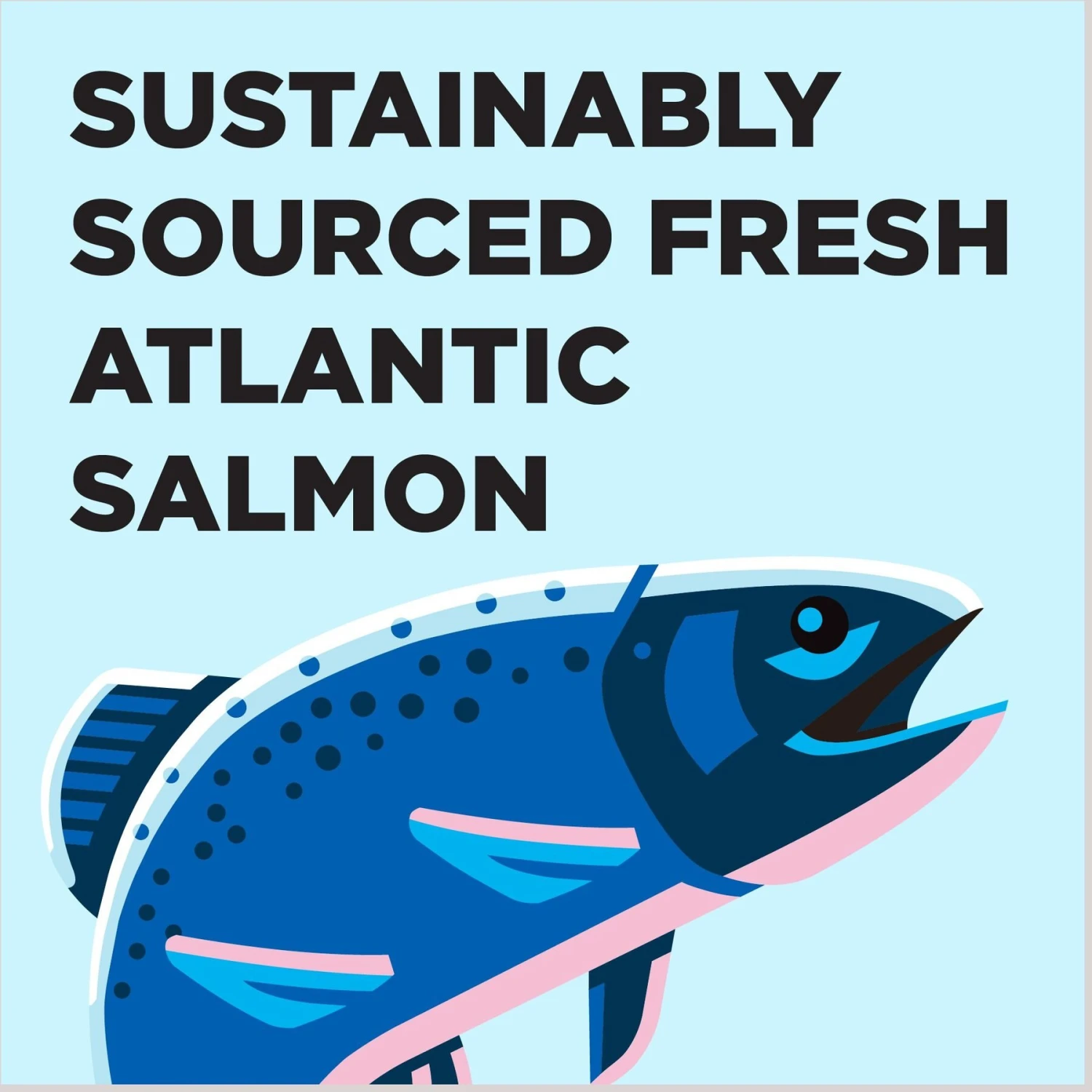 BIXBI Liberty Salmon Recipe Grain-Free Dry Cat Food 4 BIXBI Liberty Salmon Recipe Grain-Free Dry Cat Food - Image 4