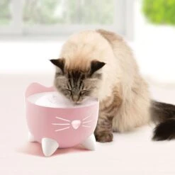 Catit Pixi Cat Drinking Fountain 11 Catit Pixi Cat Drinking Fountain -Wellness Sales 727598 PT5. AC SS1800 V1669828533