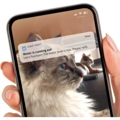 Catit Pixi Smart Stainless Top Cat Fountain Pump -Wellness Sales 727662 PT4. AC SS1800 V1669829081