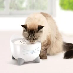 Catit Pixi Smart Stainless Top Cat Fountain Pump -Wellness Sales 727662 PT5. AC SS1800 V1669829080