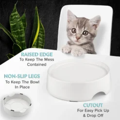 CatGuru Standard Cat & Dog Food Bowl, Marshmallow -Wellness Sales 730910 PT3. AC SS1800 V1673016173