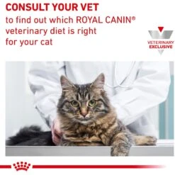 Royal Canin Veterinary Diet Adult Calm Dry Cat Food 15 Royal Canin Veterinary Diet Adult Calm Dry Cat Food -Wellness Sales 73703 PT6. AC SS1800 V1642608391
