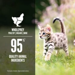 ORIJEN Kitten Recipe Chicken + Salmon Entree In Bone Broth Wet Cat Food -Wellness Sales 741350 PT4. AC SS1800 V1681756777