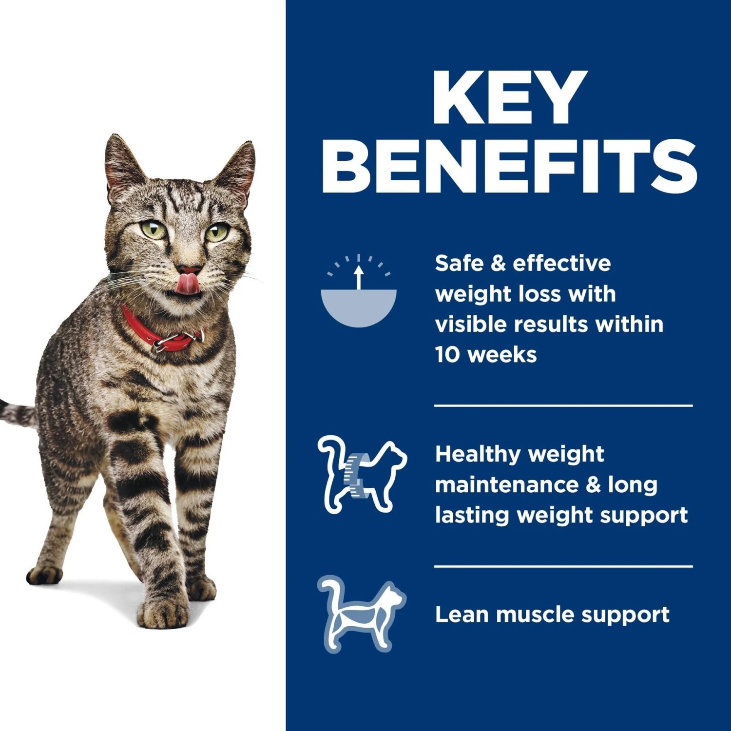 Hill's Science Diet Adult Perfect Weight Chicken Recipe Dry Cat Food 6 Hill's Science Diet Adult Perfect Weight Chicken Recipe Dry Cat Food - Image 6