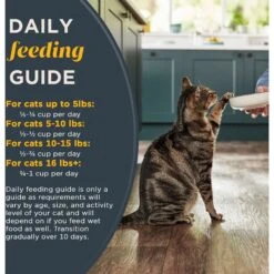 Reveal Natural Complete & Balanced Grain-Free Chicken Recipe Dry Cat Food, 3-lb Bag 12 Reveal Natural Complete & Balanced Grain-Free Chicken Recipe Dry Cat Food, 3-lb Bag -Wellness Sales 752574 PT5. AC SS1800 V1673648126
