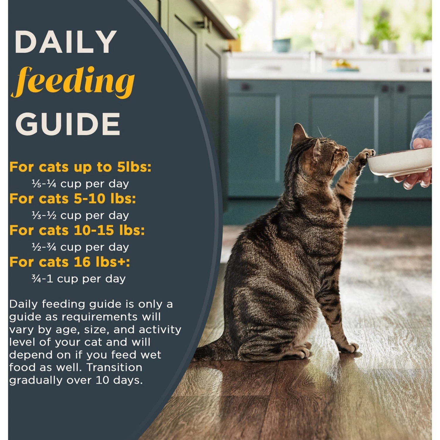 Reveal Natural Complete & Balanced Grain-Free Whitefish Recipe Dry Cat Food, 3-lb Bag 6 Reveal Natural Complete & Balanced Grain-Free Whitefish Recipe Dry Cat Food, 3-lb Bag - Image 6