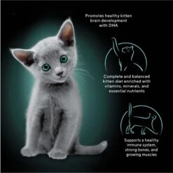 Sheba Perfect Portions Kitten Chicken Pate Wet Cat Food -Wellness Sales 752934 PT2. AC SS1800 V1672851777