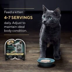 Sheba Perfect Portions Kitten Chicken Pate Wet Cat Food -Wellness Sales 752934 PT6. AC SS1800 V1672843243