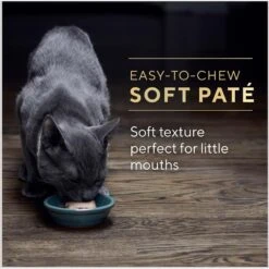Sheba Perfect Portions Kitten Chicken Pate Wet Cat Food -Wellness Sales 752934 PT7. AC SS1800 V1672851238
