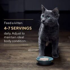 Sheba Perfect Portions Kitten Variety Pack Chicken Pate & Pate Salmon Wet Cat Food -Wellness Sales 752950 PT7. AC SS1800 V1672843191