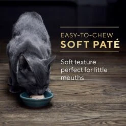 Sheba Perfect Portions Kitten Variety Pack Chicken Pate & Pate Salmon Wet Cat Food -Wellness Sales 752950 PT8. AC SS1800 V1672843191