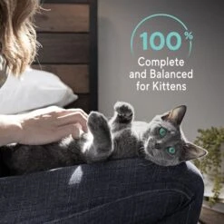 Sheba Perfect Portions Kitten Salmon Soft Pate Wet Cat Food -Wellness Sales 752966 PT8. AC SS1800 V1672842512