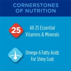 Cat Chow Complete High Protein Salmon Dry Cat Food -Wellness Sales 754158 PT2. AC SS1800 V1673381474