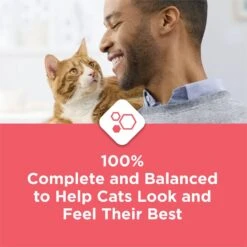 Cat Chow Complete High Protein Salmon Dry Cat Food -Wellness Sales 754158 PT5. AC SS1800 V1673365262