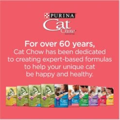 Cat Chow Complete High Protein Salmon Dry Cat Food -Wellness Sales 754158 PT7. AC SS1800 V1673381444