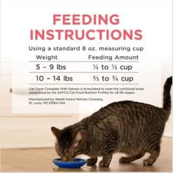 Cat Chow Complete High Protein Salmon Dry Cat Food -Wellness Sales 754158 PT8. AC SS1800 V1673378845