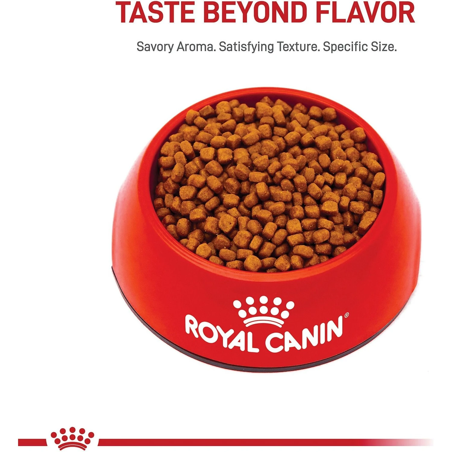 Royal Canin Feline Breed Nutrition Persian Kitten Dry Cat Food, 3-lb Bag 2 Royal Canin Feline Breed Nutrition Persian Kitten Dry Cat Food, 3-lb Bag - Image 2