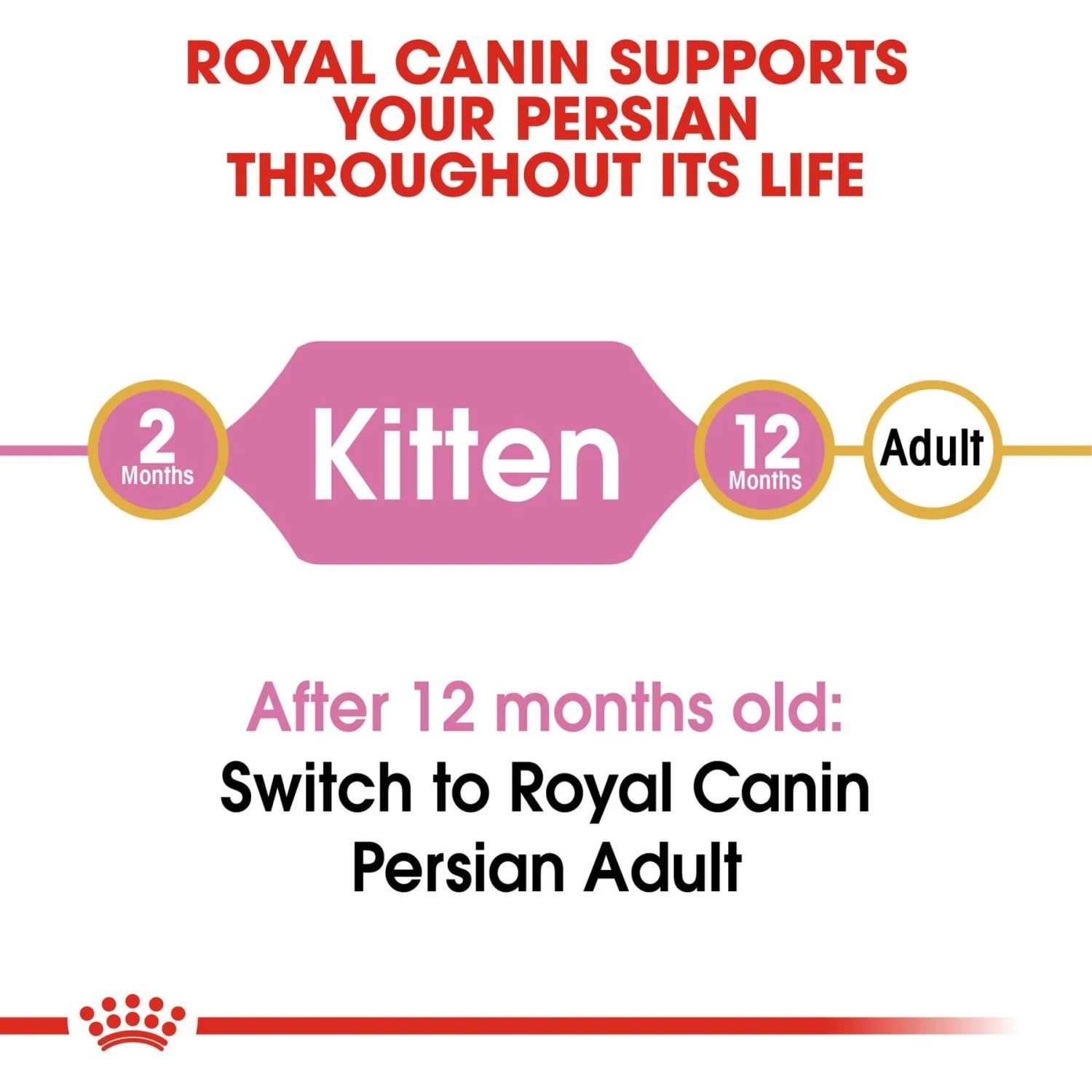 Royal Canin Feline Breed Nutrition Persian Kitten Dry Cat Food, 3-lb Bag 7 Royal Canin Feline Breed Nutrition Persian Kitten Dry Cat Food, 3-lb Bag - Image 7