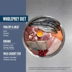 ORIJEN Guardian Senior 7+ Grain-Free Dry Cat Food -Wellness Sales 755534 PT3. AC SS1800 V1686239070