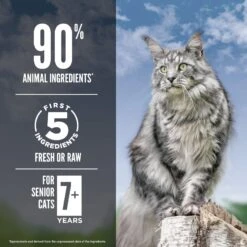 ORIJEN Guardian Senior 7+ Grain-Free Dry Cat Food -Wellness Sales 755534 PT4. AC SS1800 V1686238460