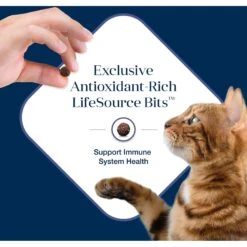 Blue Buffalo Basics Skin & Stomach Care Grain-Free Formula Duck & Potato Indoor Adult Dry Cat Food -Wellness Sales 75578 PT6. AC SS1800 V1646281582