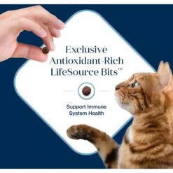 Blue Buffalo Basics Skin & Stomach Care Grain-Free Formula Fish & Potato Indoor Adult Dry Cat Food -Wellness Sales 75581 PT6. AC SS1800 V1646251593