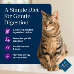 Blue Buffalo Basics Skin & Stomach Care Grain-Free Formula Turkey & Potato Indoor Mature Dry Cat Food -Wellness Sales 75584 PT2. AC SS1800 V1646257591