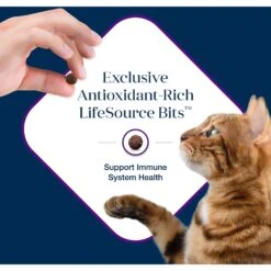 Blue Buffalo Basics Skin & Stomach Care Grain-Free Formula Turkey & Potato Indoor Mature Dry Cat Food -Wellness Sales 75584 PT6. AC SS1800 V1646272886